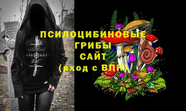 хмурый Рославль