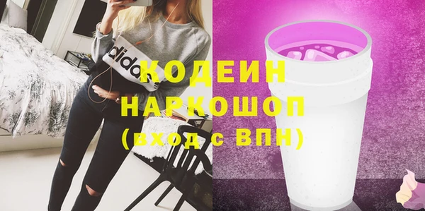 хмурый Рославль